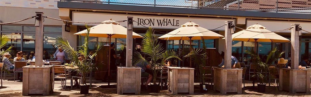 Iron Whale